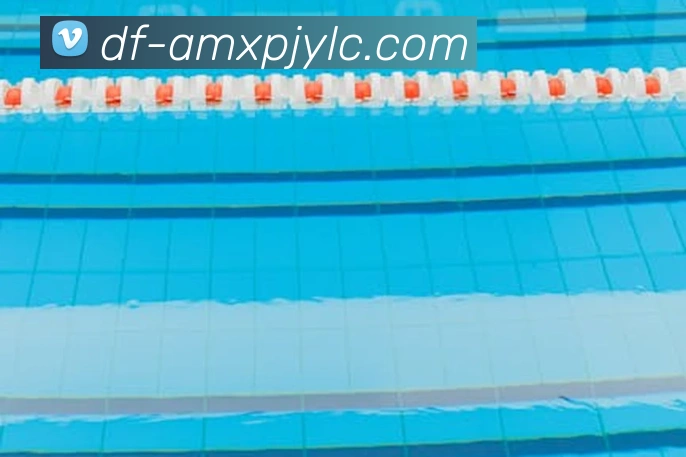 澳门新葡京娱乐平台生态图